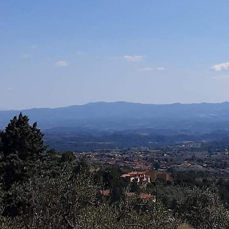 Agrifarm La Corte Pensionat Villa Bensi Exteriör bild